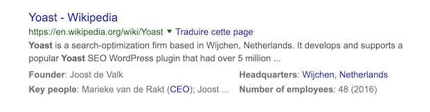 Сниппет Wikipedia в результатах поиска по брендовому запросу компании «Yoast»